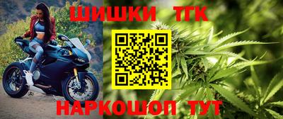 стаф Малгобек