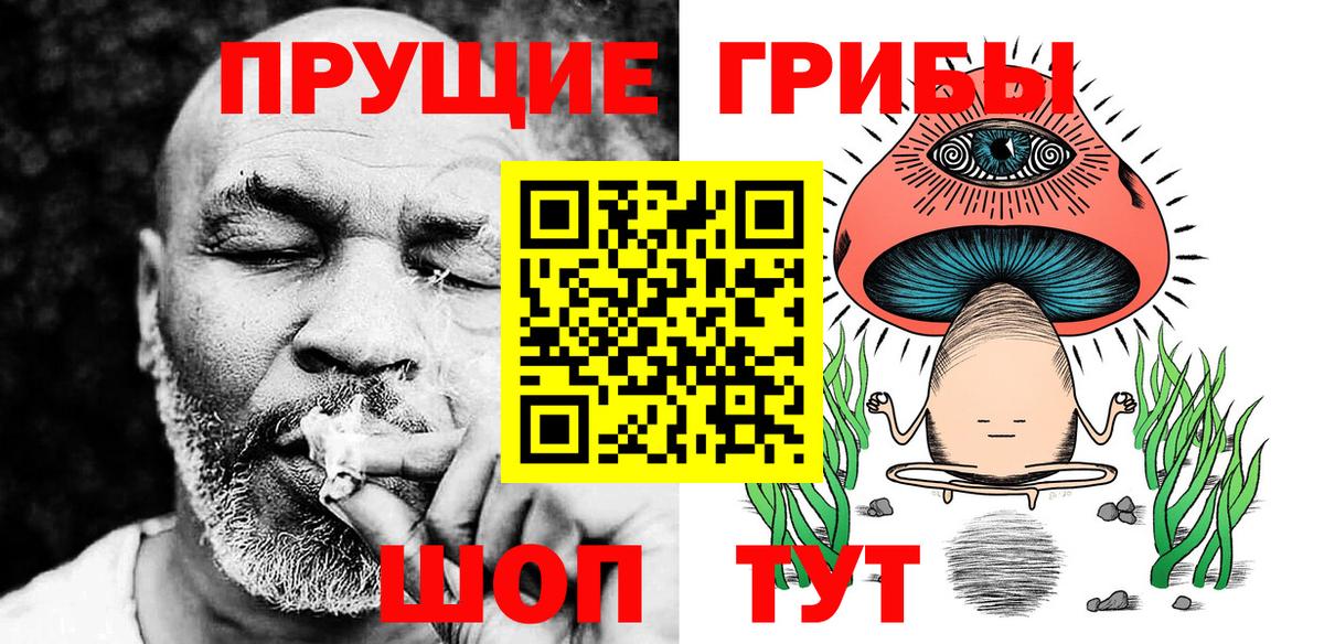 Псилоцибиновые грибы прущие грибы Дубна