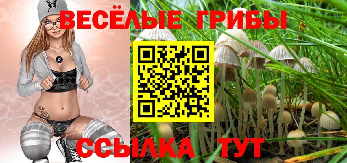 Галлюциногенные грибы GOLDEN TEACHER  Вход с VPN  Дубна  Галлюциногенные грибы прущие грибы 